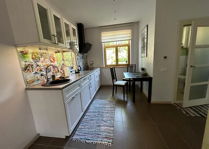 In Private House Iii Renovation In Other Appartement *